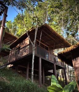 Khao Sok Jungle Roots Resort