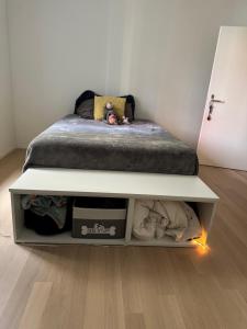 fröschli zimmer in coolem grosszügigen loft