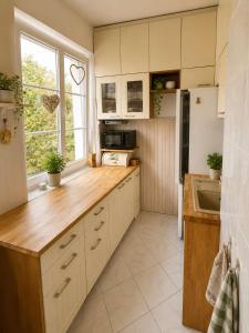 SDucha Family by Elite Apartments