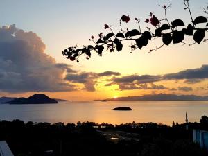 Detached villa with view in Bodrum Gumusluk