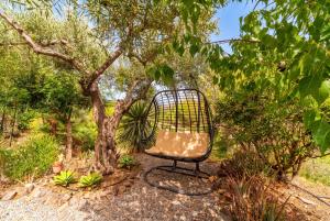 Cubos Violeta Rural House