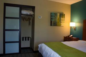 Deluxe King Suite with Sofa Bed - Non-Smoking room in BEST WESTERN Plus Menomonie Inn & Suites