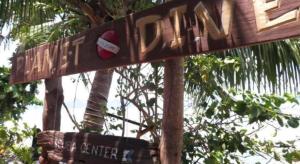 Planet Dive