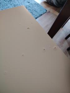 CentralAPARTMENTSSzafarnia7-46