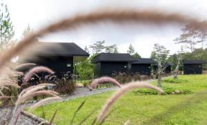 Cabin at ARTOTEL Pelangi Park