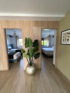 Superbe appartement en résidence avec piscine