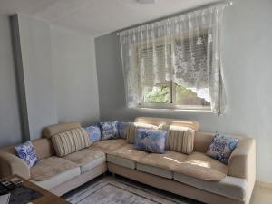Celiku Apartment