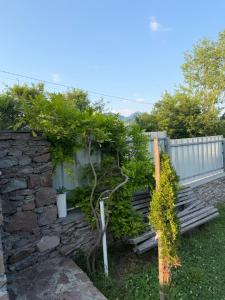 Guest house Tiny Home