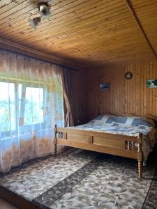 Буркут