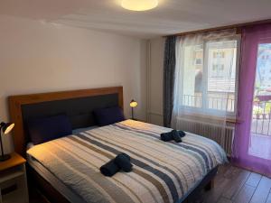 Family friendly Apartment in the heart of Interlaken