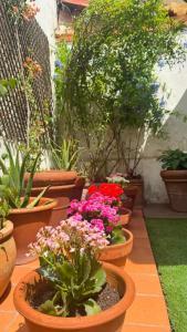 Il Giardino di Ele