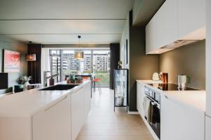 Luxury Apartment Copenhagen Harbor View