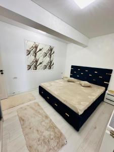 Black and white Apartaments 2