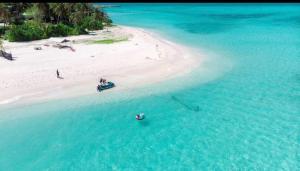 Island Hospitality