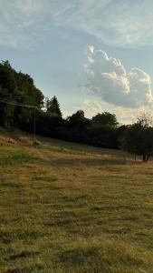 Apartman Domaja