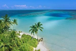 Island Hospitality