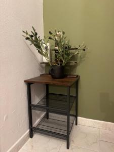 Modern City Center Retreat