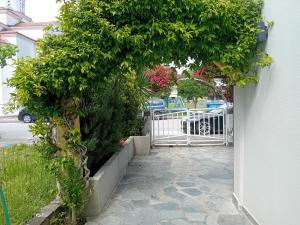 Vila Olimp 01