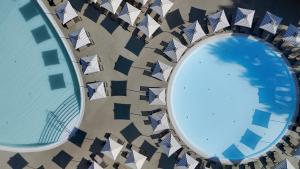 Wine & Books by the Sea, Algarve Resort