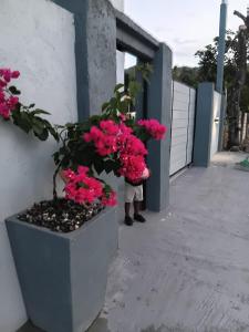 Coastal Villa Portland Jamaica