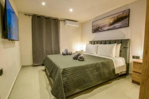 Nikri Loft Project