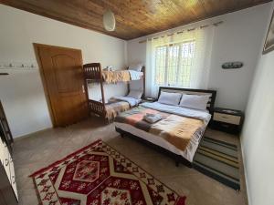 Mountain Villa in Zall Dardhe
