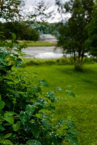 Charming apartment with two bedroms and beautifull sea view in Fauske