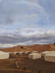 Camp Connection