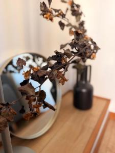Le Cocon de Saint-Gilles - Cosy Studio for 4