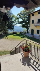 Fattoria i Tribbi