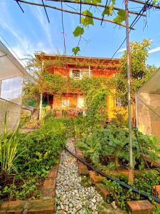 Orange Home