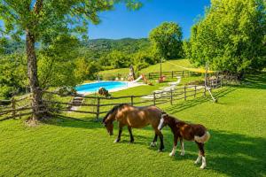Villa Bellavista Large Private Pool WiFi
