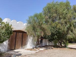 Dar Toubib
