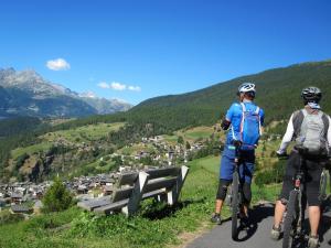 Cretaz Nest - Central Studio near Ski Lifts