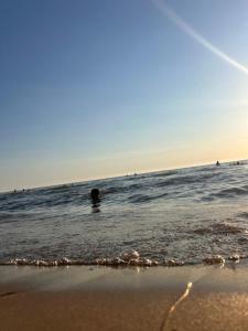 NoRo Beach Apartaments