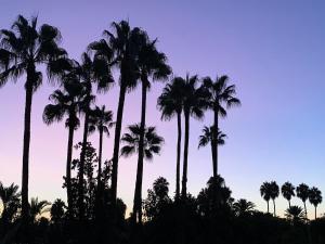 Apartment with exceptional views of Majorelle