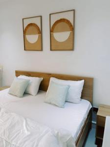 IVORY Homes