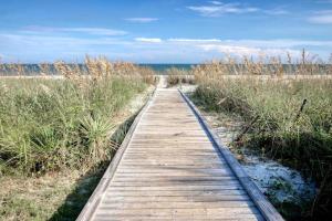Forest Dunes 401