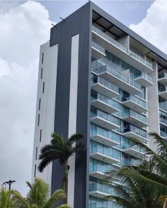 Paraiso Caribeño 706