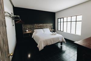 Pochotes - La Calera