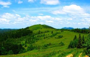 Гірська яфина