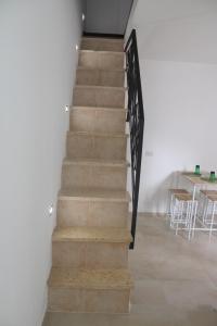 IsaBi suite