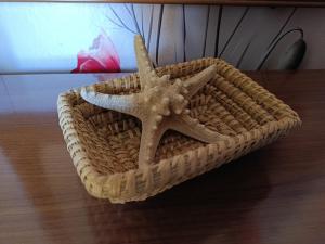 Il Girasole