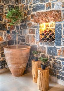 Stone Horizon Villa
