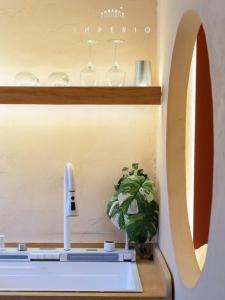 Tiny Apartment in Trendy CDMX
