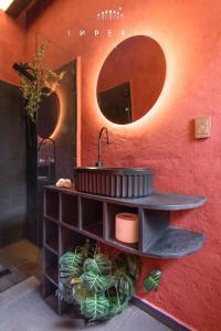 Tiny Apartment in Trendy CDMX