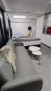 Cosy room and available horse riding