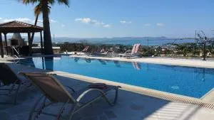 the view villa - Kinousa