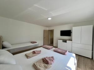 Apartmani Milojević