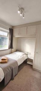 Standard Single Room with Shared Bathroom